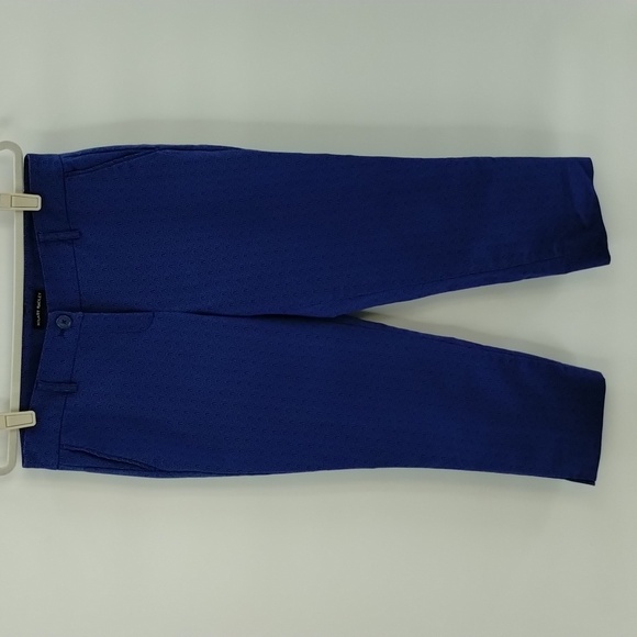 Hilary Radley crop ankle pants blue on blue design size 8 stretch mid rise - Picture 1 of 11